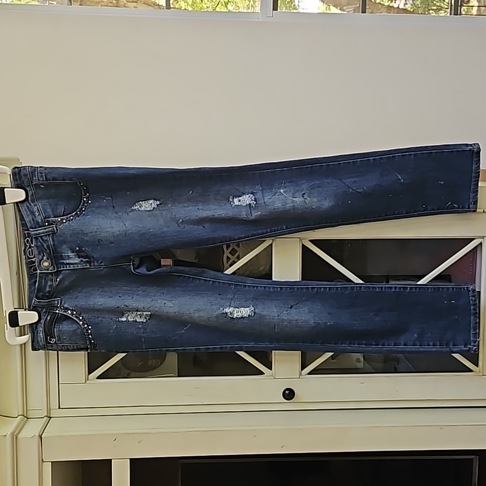 Rue21 Curves Skinny Jean